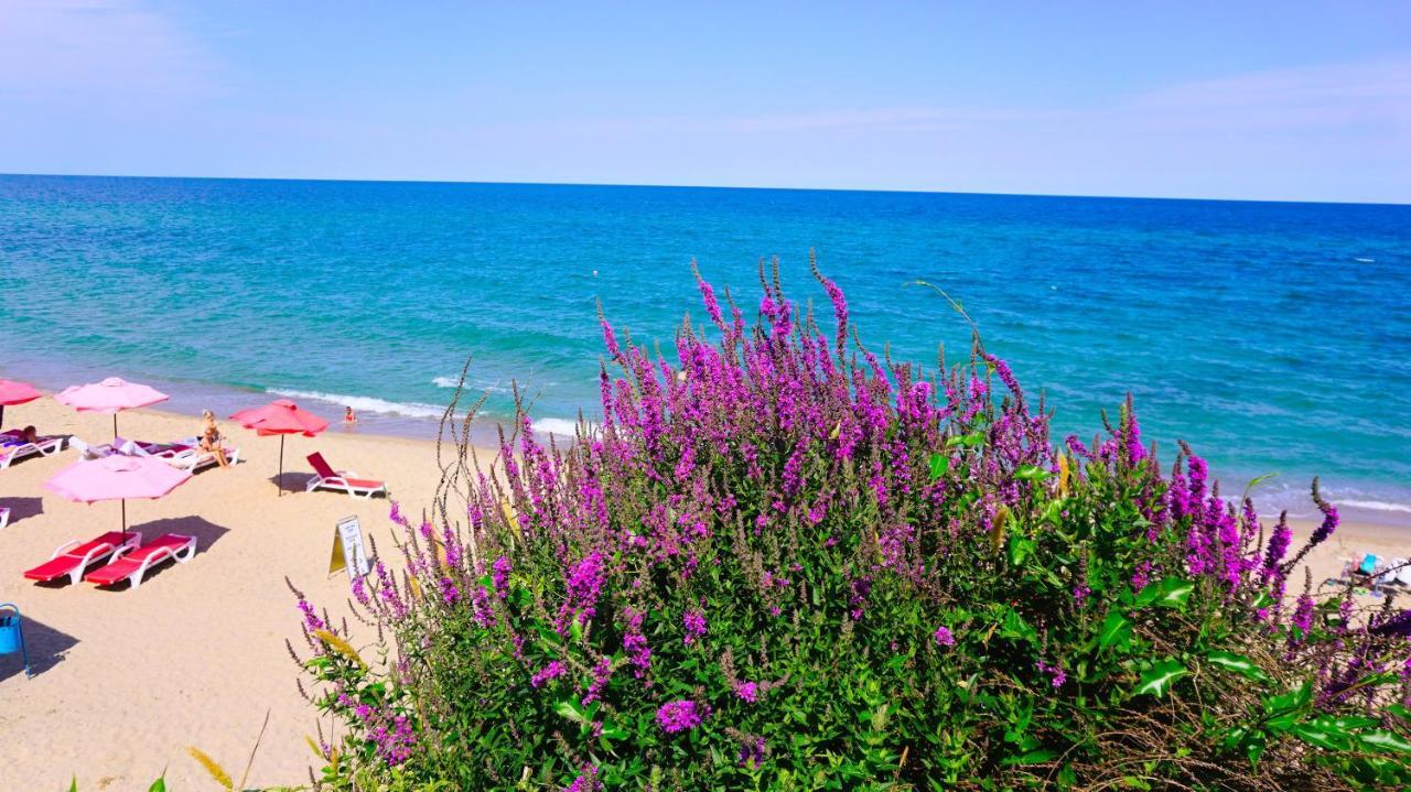 Byala Vista Beach Apartments D - Бяла Виста Бийч Апартментс Д Esterno foto